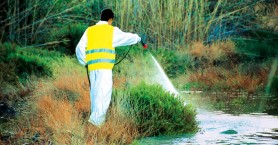 Το πρόγραμμα ψεκασμών για την καταπολέμηση των κουνουπιών στην Π.Ε. Ρεθύμνου