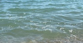 Χανιά: Η φετινή ρύπανση στις παραλίες δεν έχει προηγούμενο (φωτο)
