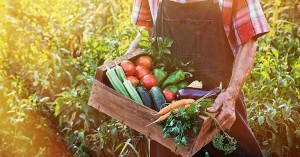 Αγροτικά προϊόντα – Ποια η τάση στις εισαγωγές – Ο ρόλος τους στην εφοδιαστική αλυσίδα