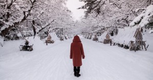 Αομόρι – Ιαπωνία: Ταξίδι σε μία από τις πιο χιονισμένες πόλεις του κόσμου