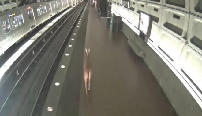 Ελάφι πηδάει στις ράγες του μετρό και προκαλεί χαμό (βίντεο)