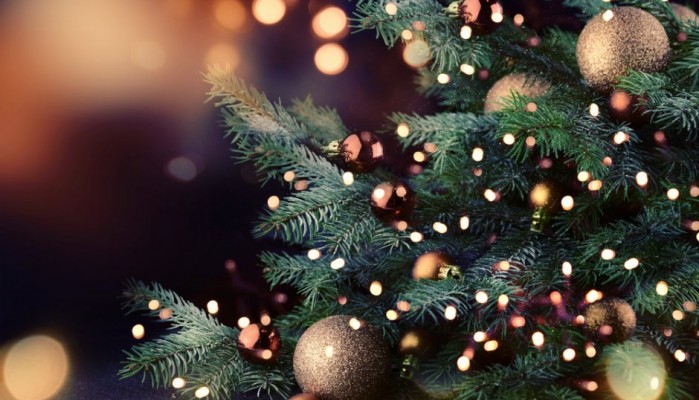 Φωταγώγηση του χριστουγεννιάτικου δέντρου στην Ευαγγελίστρια από το Κύτταρο Χαλέπας 