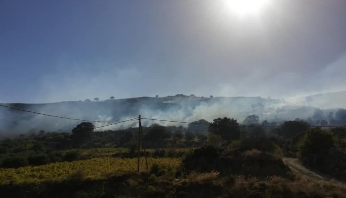Ηράκλειο: Υπό έλεγχο η φωτιά στην Αγία Βαρβάρα (φώτο) - Flashnews.gr