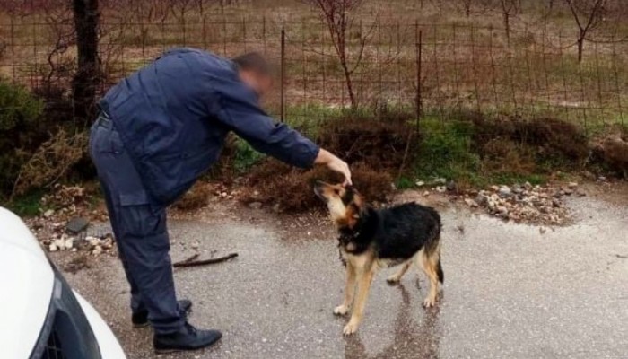 Αστυνομικοί διέσωσαν αλυσοδεμένο σκύλο στο οροπέδιο του Ομαλού (φωτο)