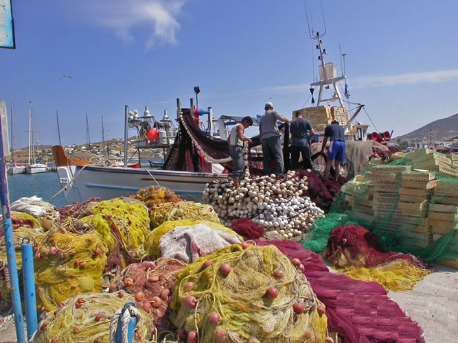 Hράκλειο: Απαγόρευση αλιείας, προσόρμισης και αγκυροβολίας