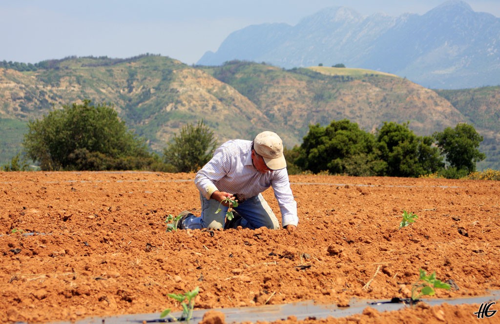 Ομόφωνα η ΠΕΔ υιοθέτησε την εισήγηση Χ.Κουκιανάκη για τη φορολόγηση αγροτών