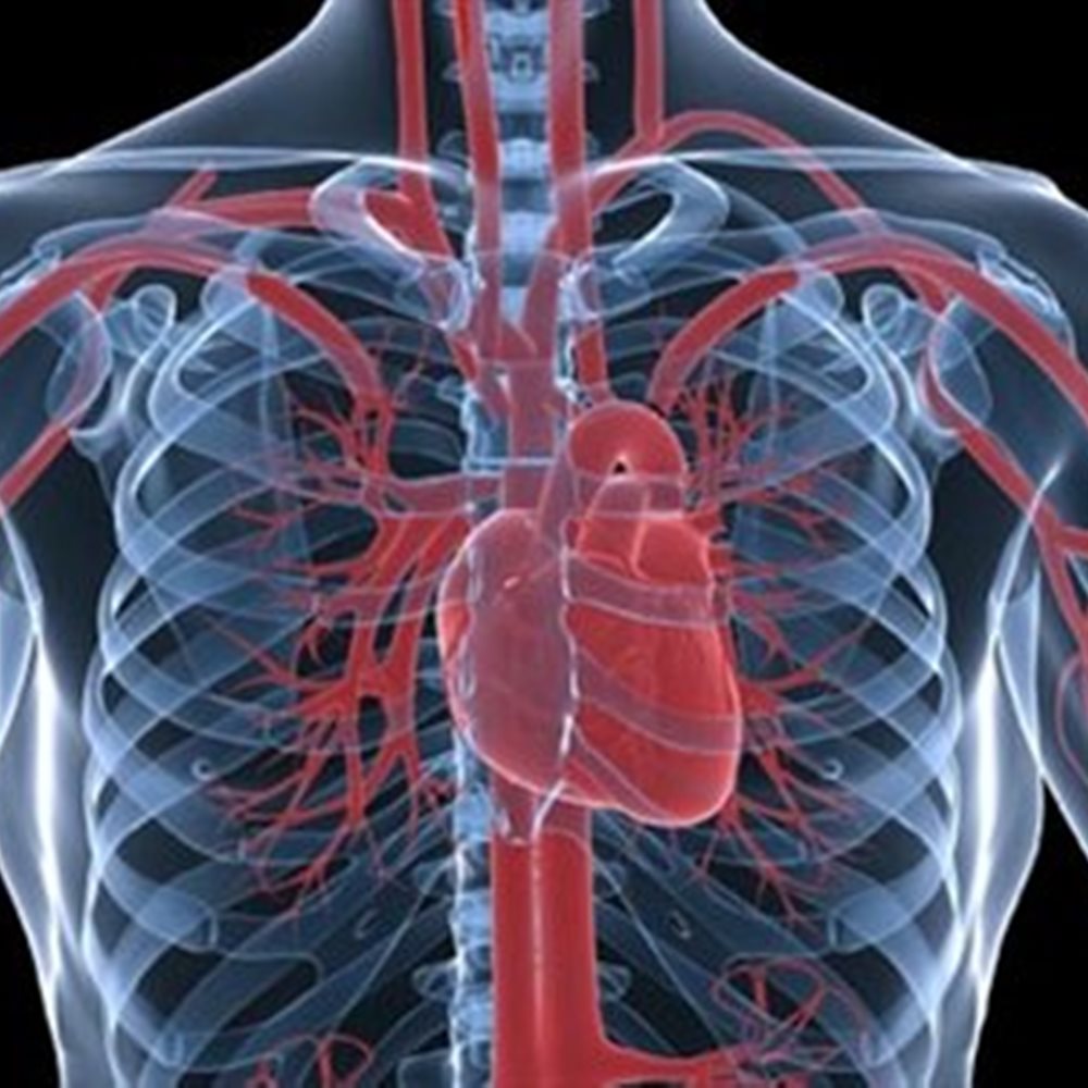 Ακύρωση εκδήλωσης για τα καρδιαγγειακά νοσήματα στα Χανιά