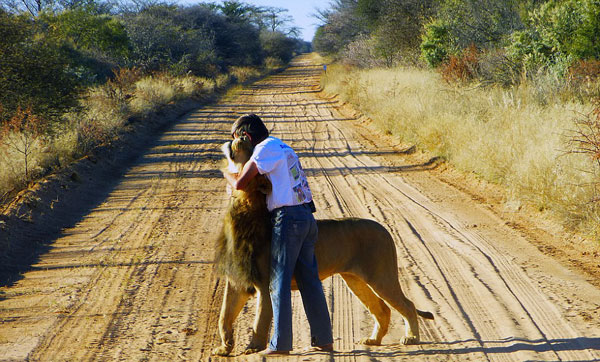 Αγκαλιές και φιλιά με ένα… λιοντάρι! (φωτο)