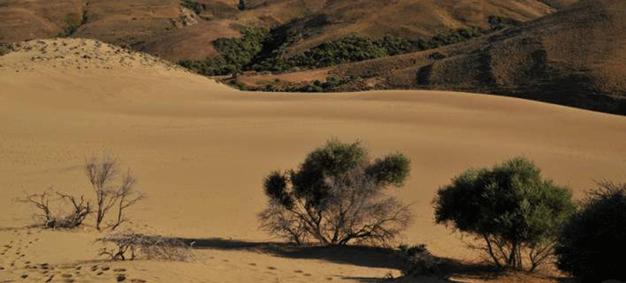 Κι όμως υπάρχει έρημος στην Ελλάδα – Η «Σαχάρα» της Λήμνου (βίντεο)