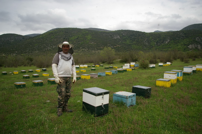 Διευκόλυνση μετακινήσεων και οικονομική στήριξη νομαδικής μελισσοκομίας