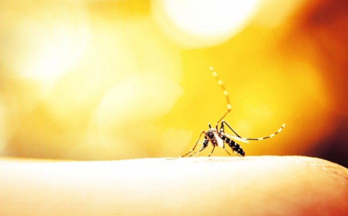 Νέα έρευνα: Γιατί «προτιμούν» κάποιους τα κουνούπια