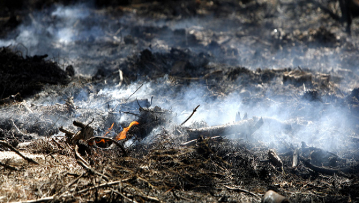 Πλατανιάς:Υποβολή οριστικών δηλώσεων ζημιάς από τις πυρκαγιές του Μαρτίου &Ιουλίου του ’18