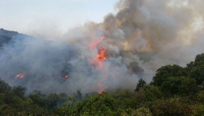 Δασική πυρκαγιά στο Φαρακλό Λακωνίας