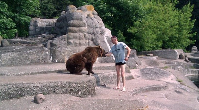 Εισβολέας σε ζωολογικό κήπο γλίτωσε παρά τρίχα από τα νύχια αρκούδας!