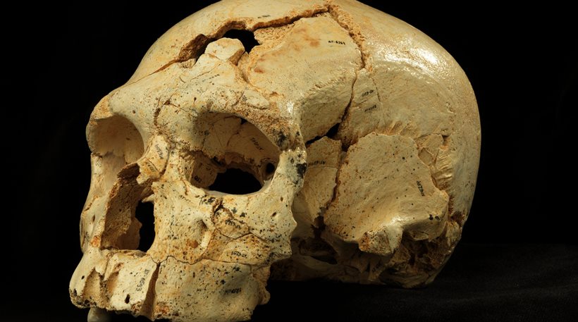 Το αρχαιότερο έγκλημα στον κόσμο έγινε πριν από… 430.000 χρόνια!