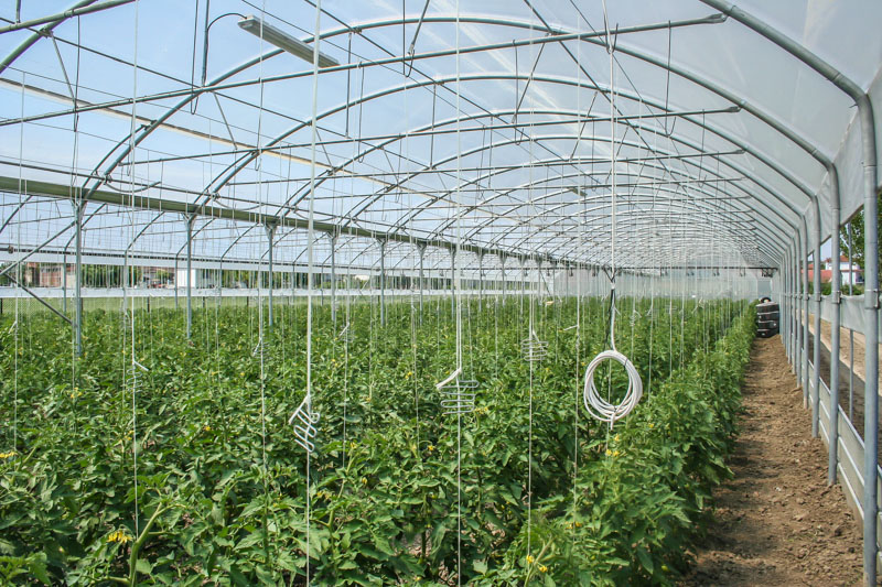 Τερματίζεται η χρήση του διχλωροπροπένιου στις θερμοκηπιακές καλλιέργειες