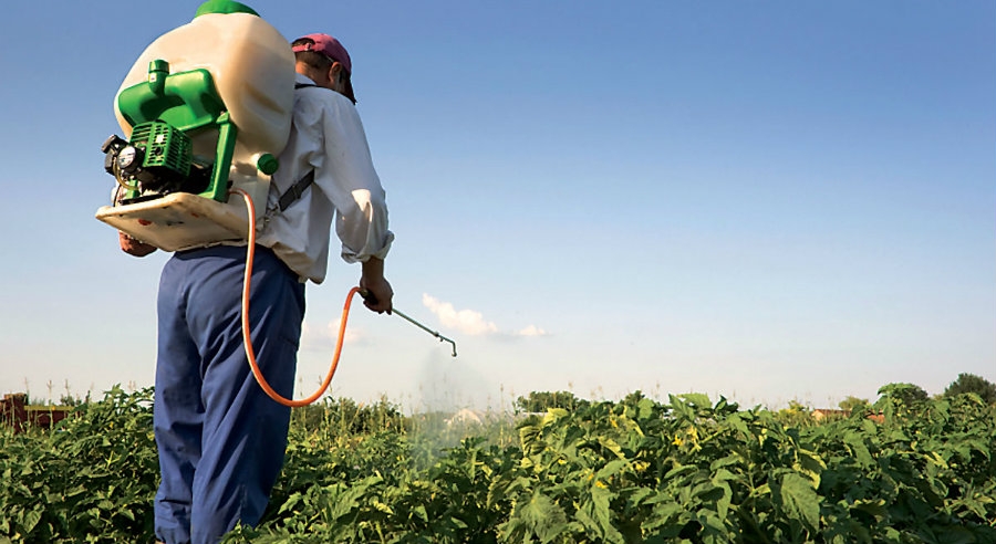 Έξι φορές πάνω από τον μέσο όρο η κατανάλωση φυτοφαρμάκων στην Κρήτη