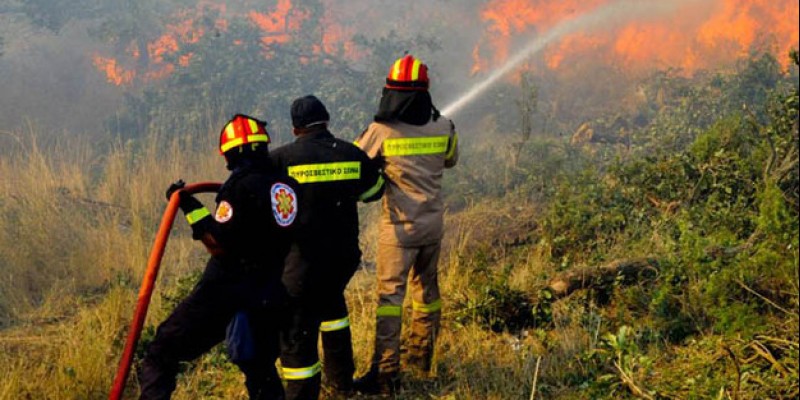 Πυρκαγιά στην Κίσαμο καίει ελιές και δασική έκταση
