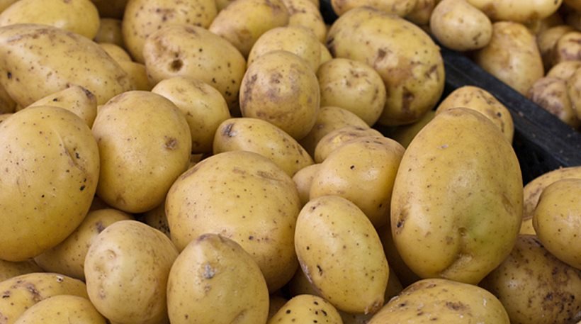 Εξαρθρώθηκε κύκλωμα ελληνοποίησης γαλλικής πατάτας – Συνελήφθησαν 5 άτομα