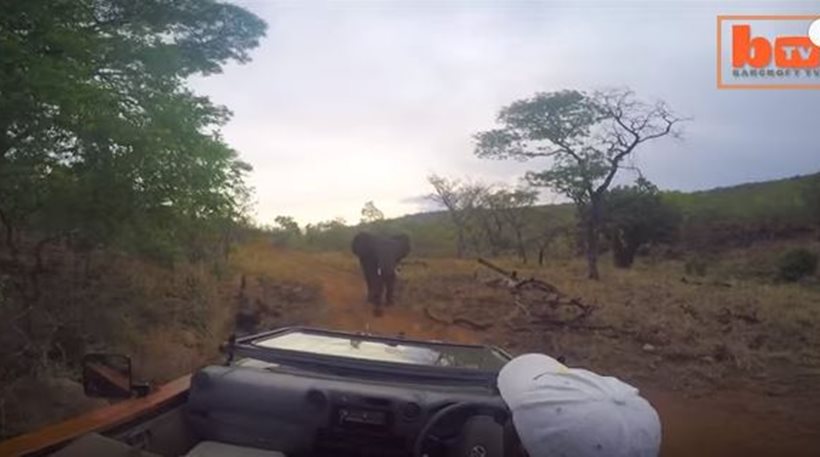 Εξαγριωμένος ελέφαντας κυνηγάει τηλεοπτικό συνεργείο στην Αφρική