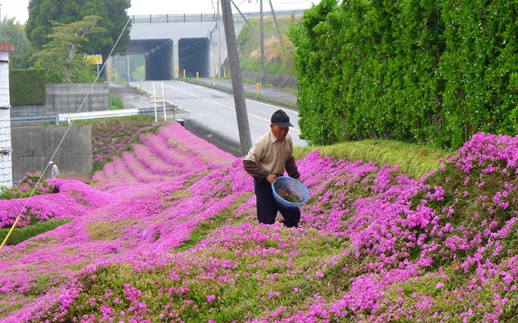 Φύτεψε χιλιάδες λουλούδια στον κήπο για να τα μυρίσει η τυφλή γυναίκα του