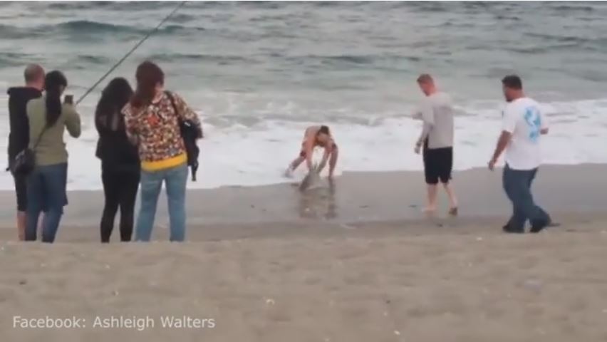 Τραγικό: Άνδρας έβγαλε καρχαρία στη στεριά για μια… φωτογραφία μαζί του!