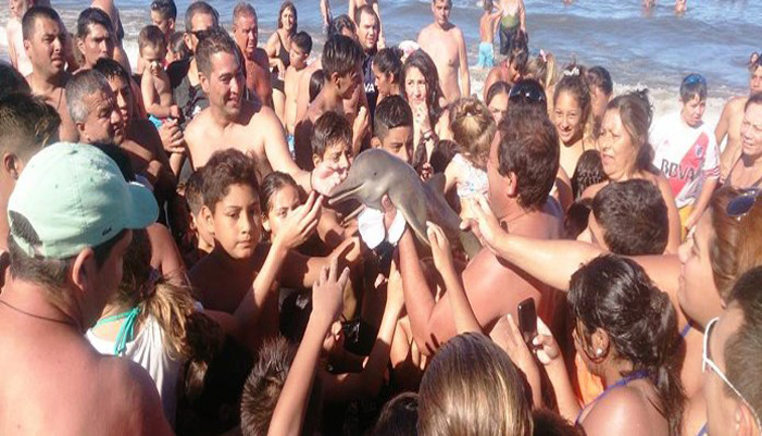 Τουρίστες σκότωσαν μωρό δελφίνι για μια selfie