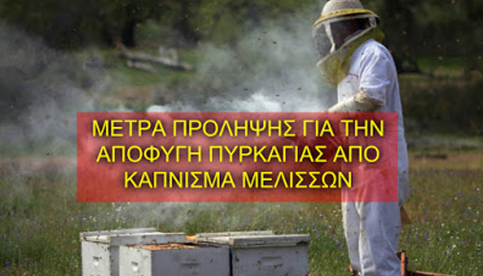 Μέτρα πρόληψης για την αποφυγή πυρκαγιάς απο το “κάπνισμα” μελισσών