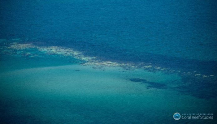 Το Ελ Νίνιο ξέβαψε τον Μεγάλο Κοραλλιογενή Ύφαλο