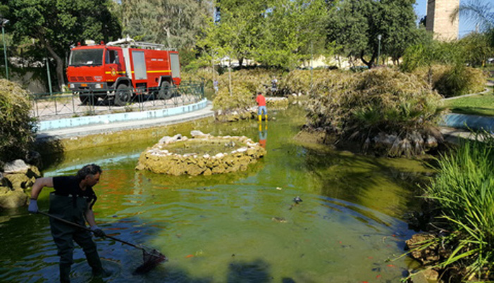 Καθαρισμός του Πάρκου Ειρήνης και Φιλίας των Λαών από τον Δήμο Χανίων