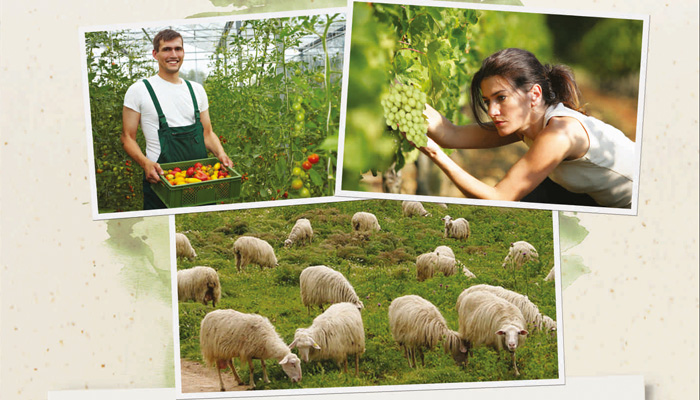 Ενημέρωση για την οικοτεχνία και τους νέους γεωργούς στο Ηράκλειο