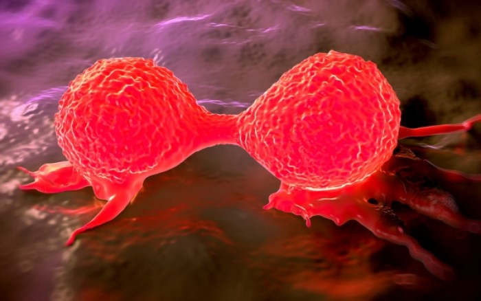 Οκτώ είδη καρκίνου χτυπούν εφήβους και νέους ενήλικους