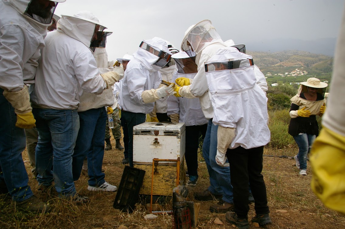 Σεμινάριο μελισσοκομίας στο Ηράκλειο