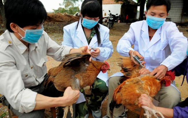 Με γρίπη των πτηνών αγρότισσα στο Πεκίνο