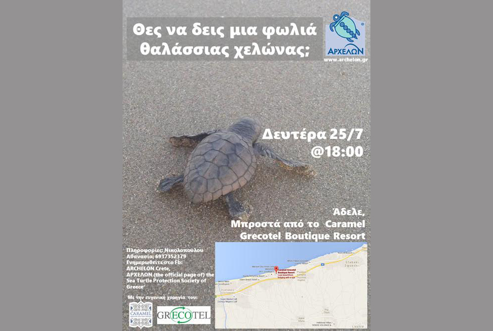 Δημόσια εκσκαφή φωλιάς καρετα καρετα σε τρείς παραλίες της Κρήτης