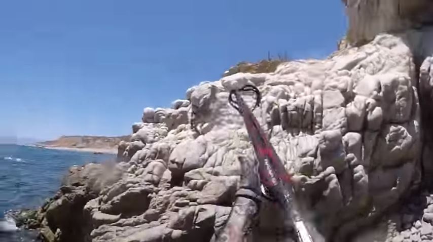 Οργή προκαλεί βίντεο όπου κατσικάκι σκοτώνεται με ψαροντούφεκο