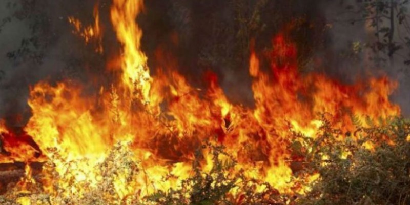Πυρκαγιά στο Ηράκλειο – Υπο έλεγχο φωτιά στο Ρέθυμνο