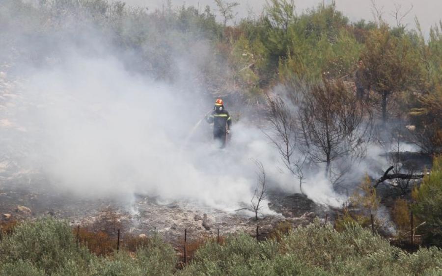Δηλώσεις για τις ζημιές απο την πυρκαγιά στον Δήμο Ιεράπετρας