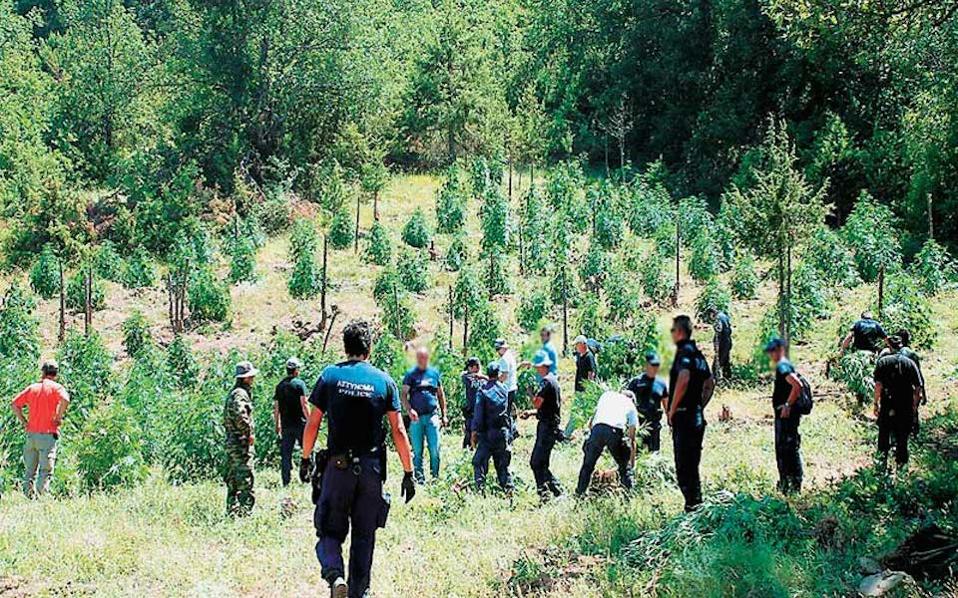 Μεγάλη επιχείρηση για ναρκωτικά στα Χανιά – Μια σύλληψη μετά από καταδίωξη