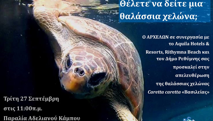 Απελευθέρωση της θαλάσσιας χελώνας «Βασιλείας» στο Ρέθυμνο