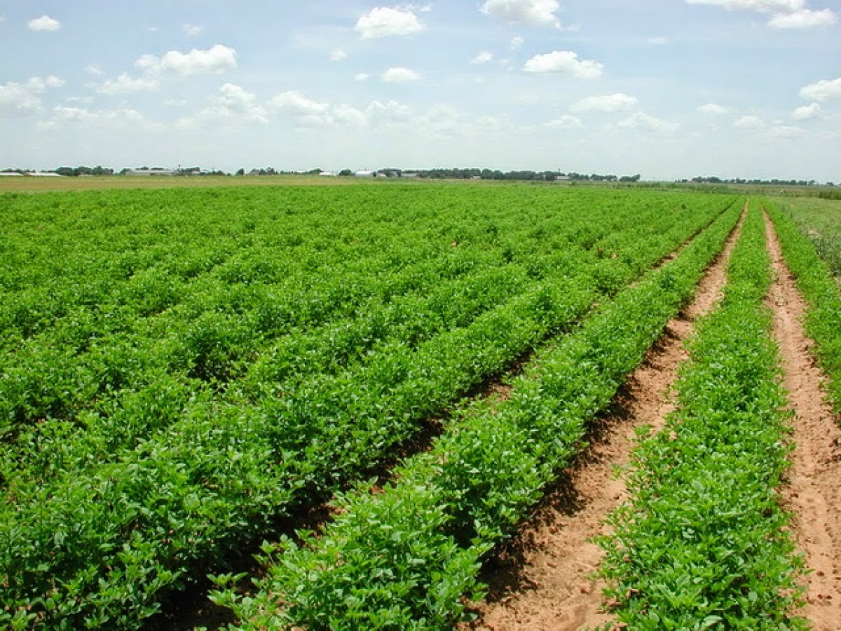 Παρατείνονται οι αιτήσεις ένταξης στο υπομέντρο “εγκατάστασης νέων γεωργών”