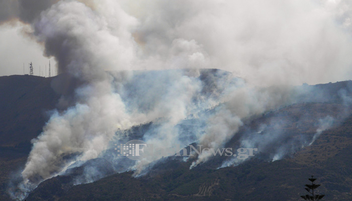 Στάχτη δεκάδες στρέμματα από την πυρκαγιά  στη Μαλάξα