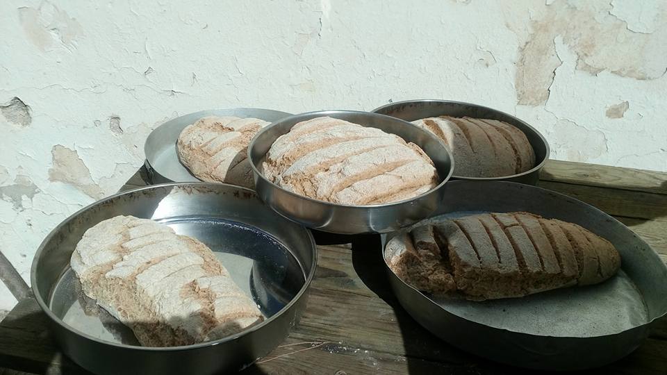 Σεμινάριο παρασκευής παραδοσιακού ψωμιού και εκλογές στο Πενταμόδι