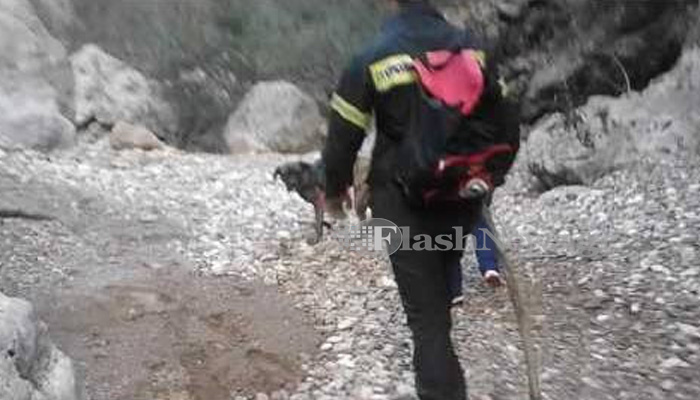 Διάσωση σκύλου από την Πυροσβεστική στον Αποκόρωνα (βίντεο)