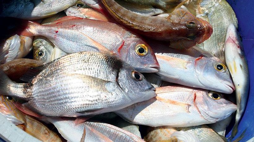 Νέα απειλή από τα ψάρια για τη δημόσια υγεία!