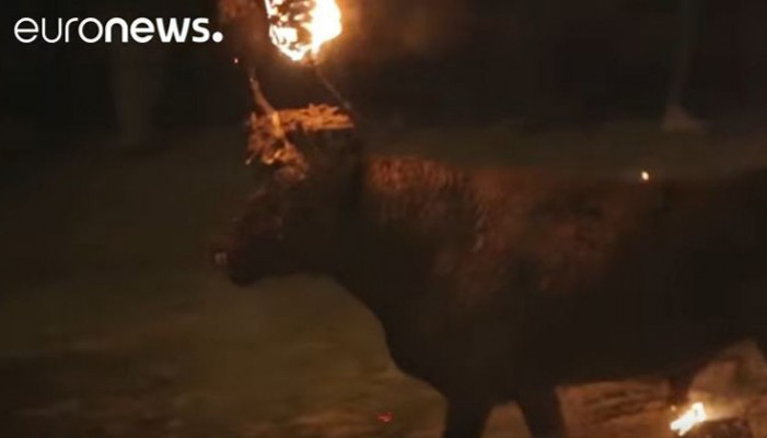 Έβαλαν φωτιά σε ζωντανό ταύρο στην Ισπανία