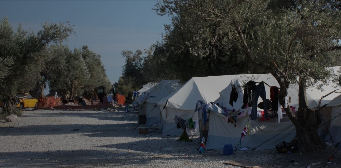 Λέσβος: Ελαιόλαδο από τις ελιές του Καρά Τεπέ παρήγαγαν οι πρόσφυγες