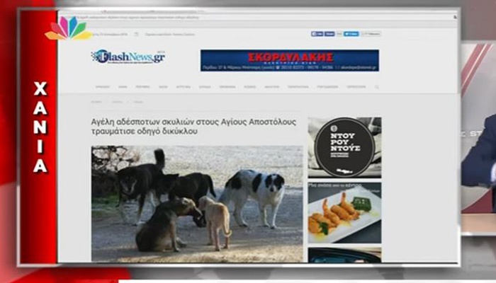 Το θέμα του Flashnews.gr με τα αδέσποτα σκυλιά στο δελτίο ειδήσεων του Star