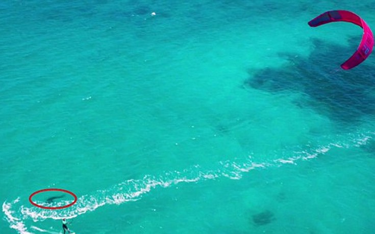 Κάνοντας kitesurfing με έναν μεγάλο λευκό καρχαρία (βίντεο)