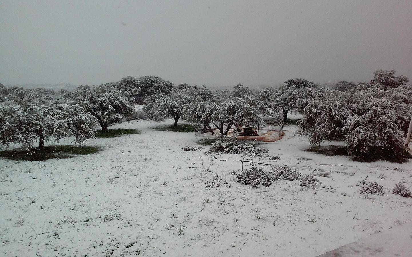 Αναγγελία ζημιάς από τη χιονόπτωση για Θέρισο, Κεραμειά, Ν.Κυδωνία & Σούδα